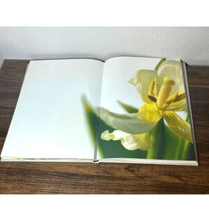Becoming Being Passing - Sabine Pankert Photography Art Book - RARE - Hard Cover